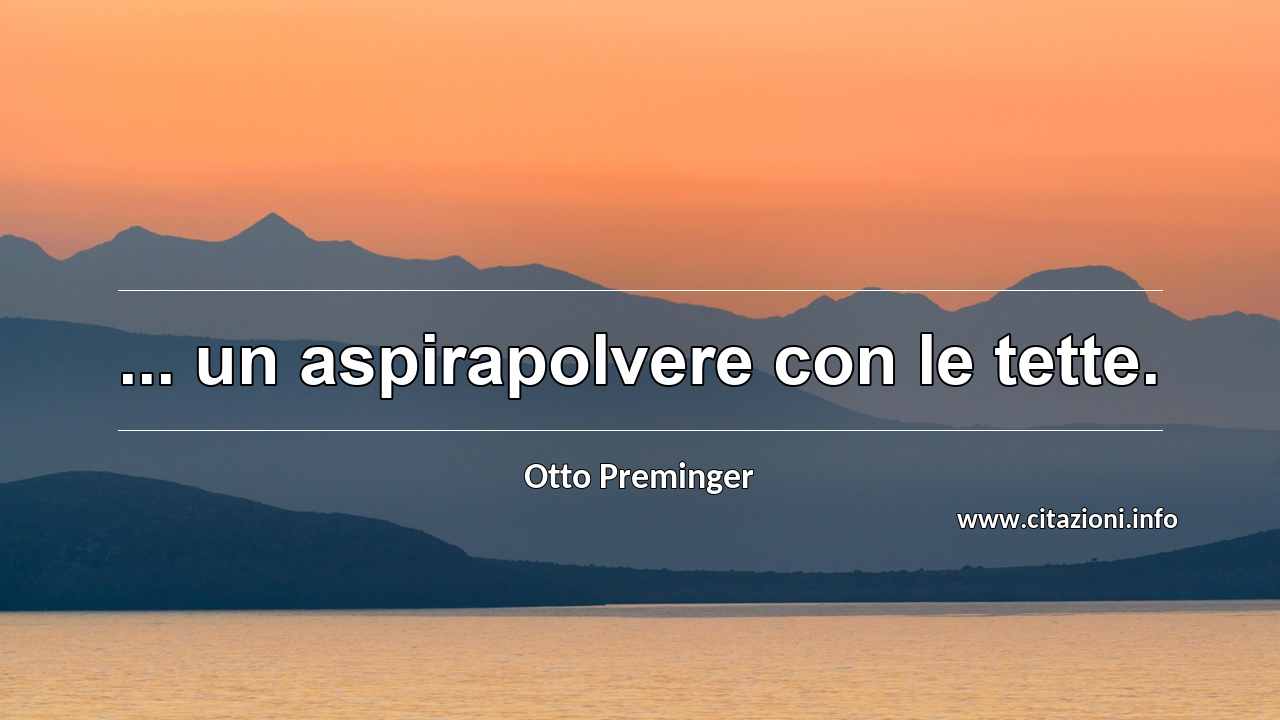 “... un aspirapolvere con le tette.”