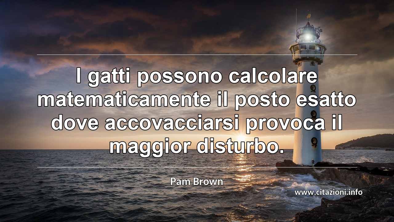 “I gatti possono calcolare matematicamente il posto esatto dove accovacciarsi provoca il maggior disturbo.”