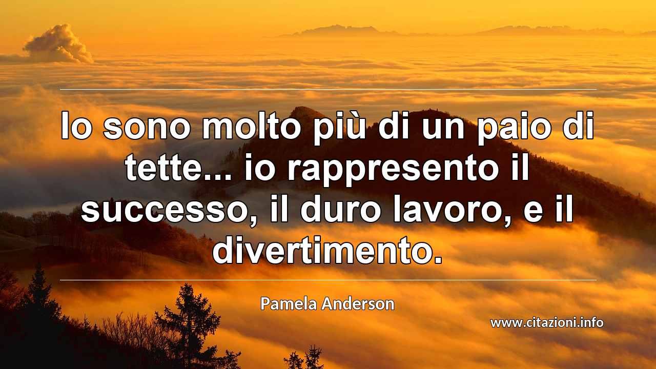 “Io sono molto più di un paio di tette... io rappresento il successo, il duro lavoro, e il divertimento.”