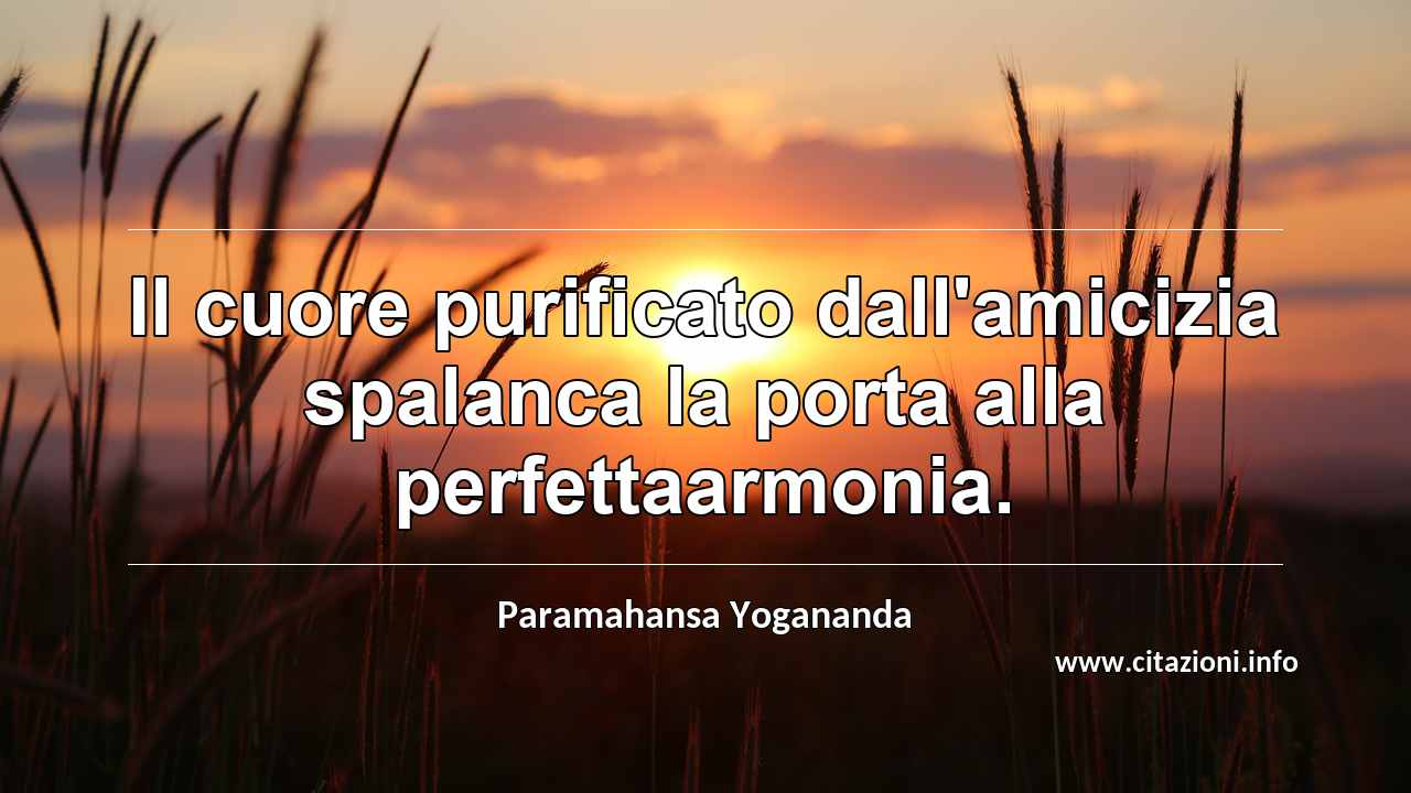 “Il cuore purificato dall'amicizia spalanca la porta alla perfettaarmonia.”