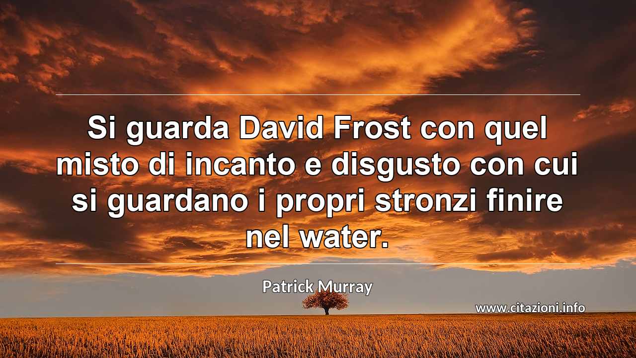 “Si guarda David Frost con quel misto di incanto e disgusto con cui si guardano i propri stronzi finire nel water.”
