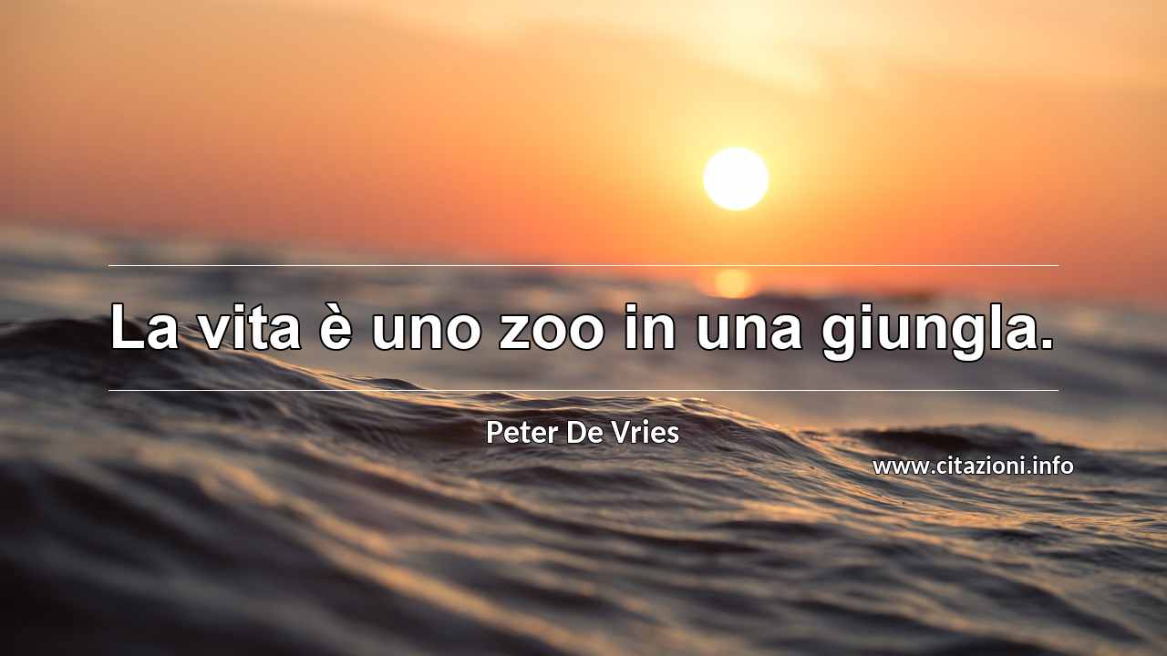 “La vita è uno zoo in una giungla.”