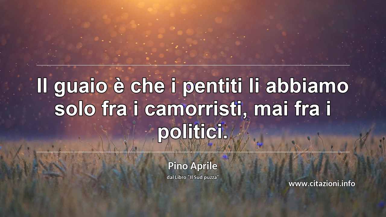 “Il guaio è che i pentiti li abbiamo solo fra i camorristi, mai fra i politici.”