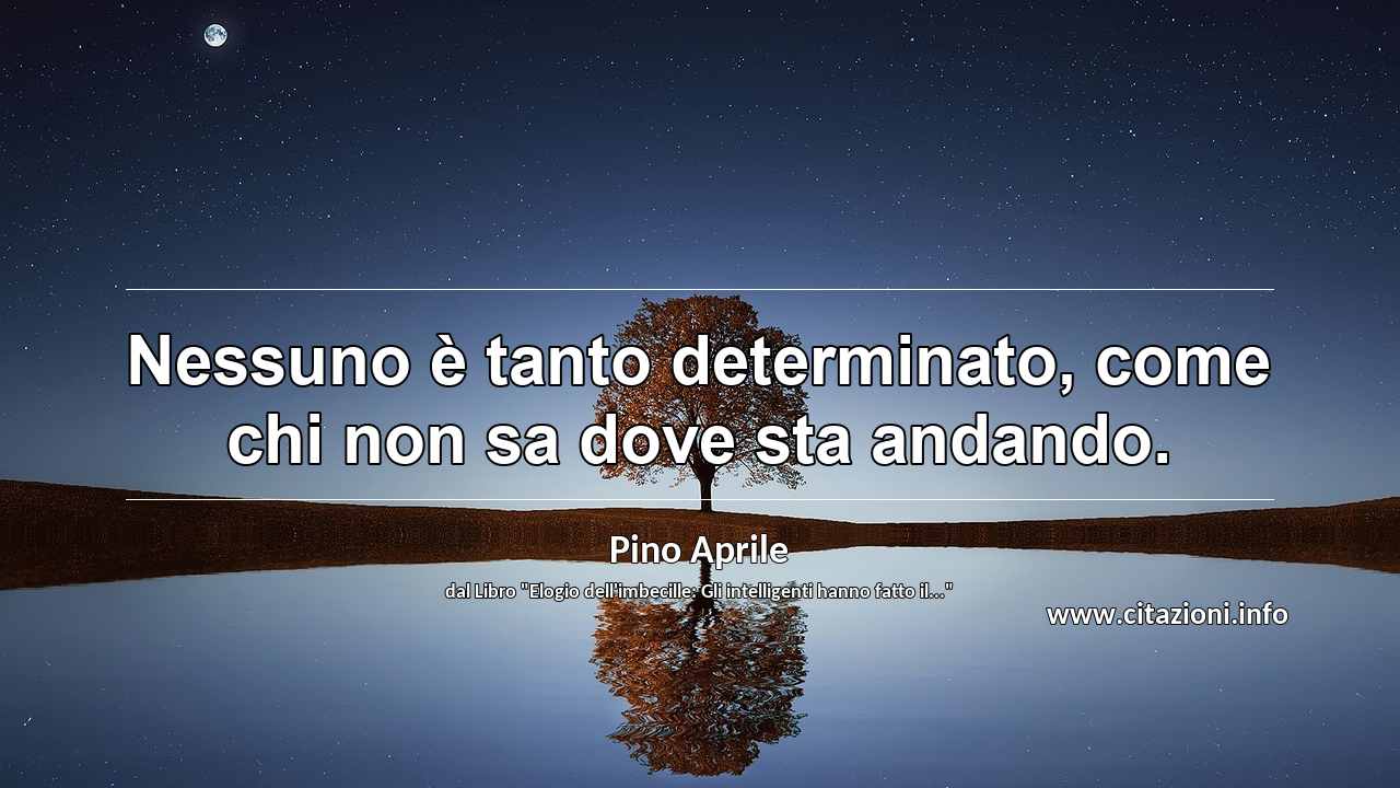 “Nessuno è tanto determinato, come chi non sa dove sta andando.”