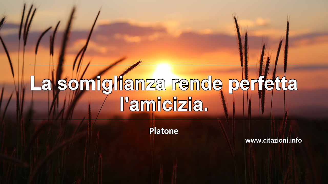 “La somiglianza rende perfetta l'amicizia.”