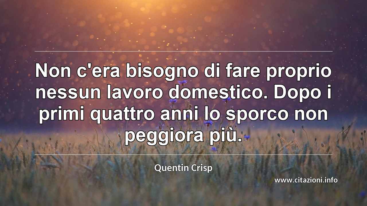 “Non c'era bisogno di fare proprio nessun lavoro domestico. Dopo i primi quattro anni lo sporco non peggiora più.”