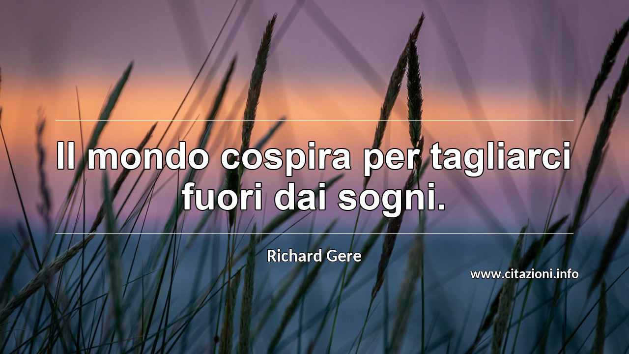 “Il mondo cospira per tagliarci fuori dai sogni.”