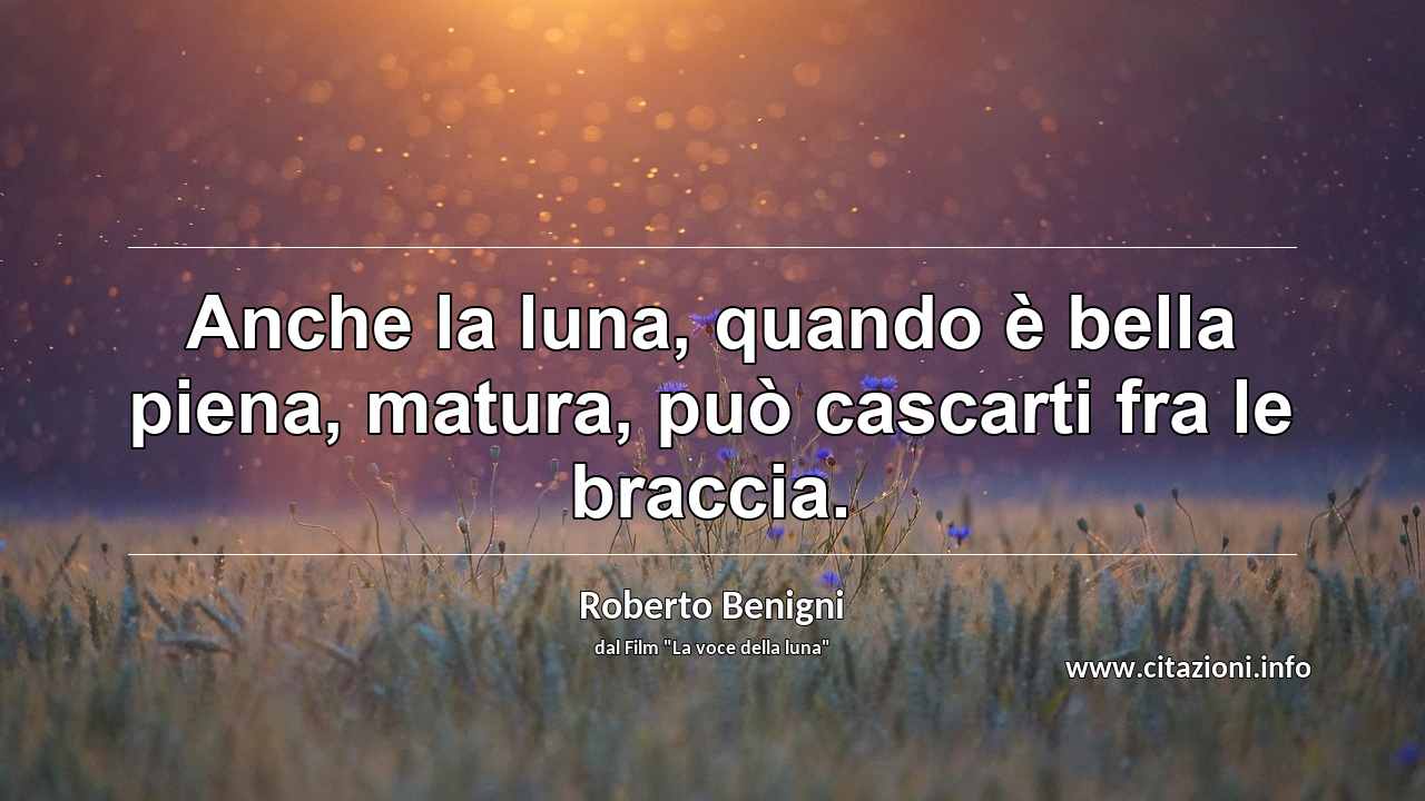 “Anche la luna, quando è bella piena, matura, può cascarti fra le braccia.”