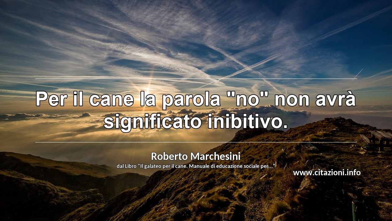 Per il cane la parola "no" non avrà significato inibitivo.
