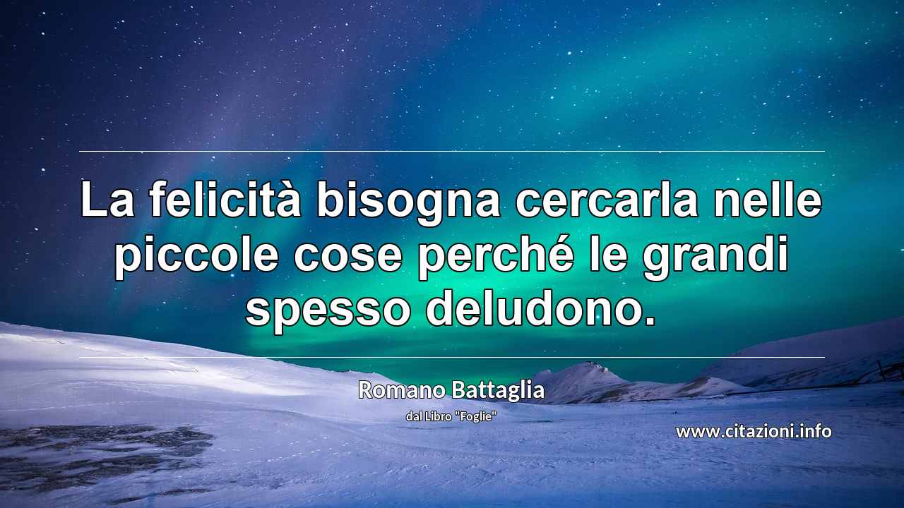 “La felicità bisogna cercarla nelle piccole cose perché le grandi spesso deludono.”