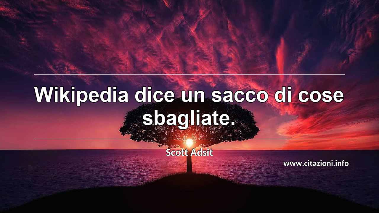 “Wikipedia dice un sacco di cose sbagliate.”