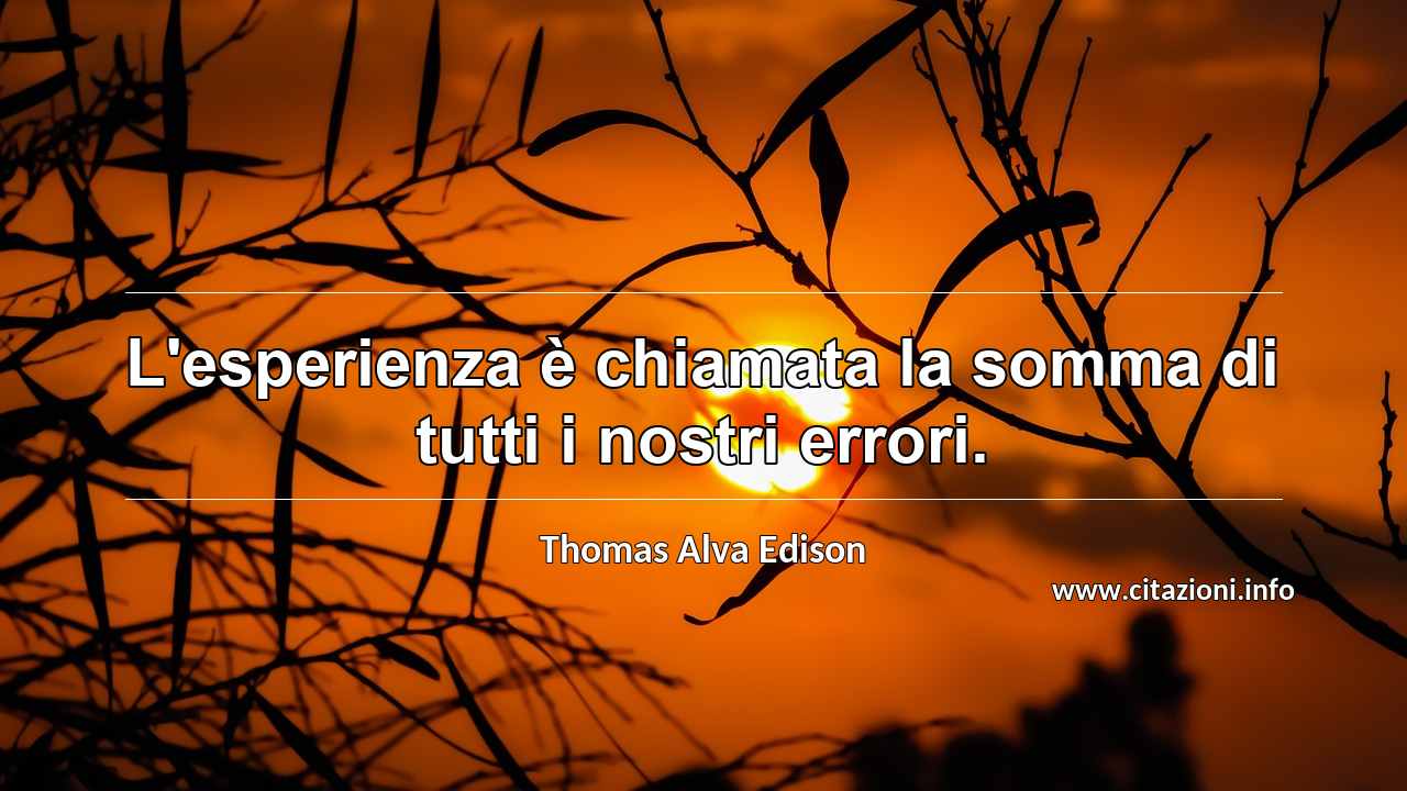“L'esperienza è chiamata la somma di tutti i nostri errori.”