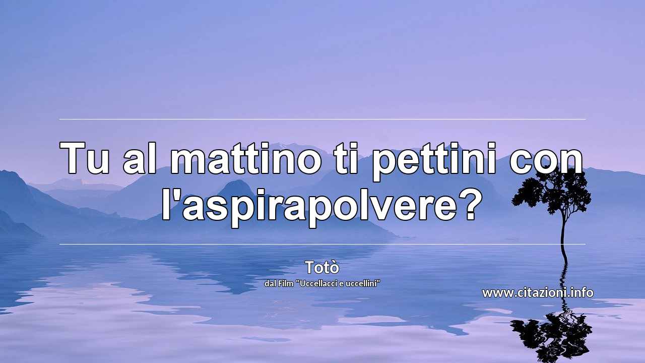 “Tu al mattino ti pettini con l'aspirapolvere?”