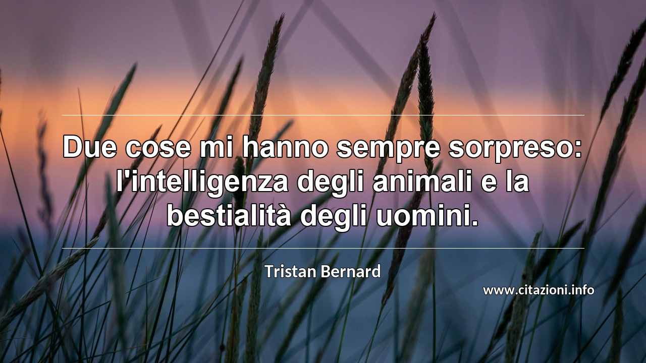 “Due cose mi hanno sempre sorpreso: l'intelligenza degli animali e la bestialità degli uomini.”