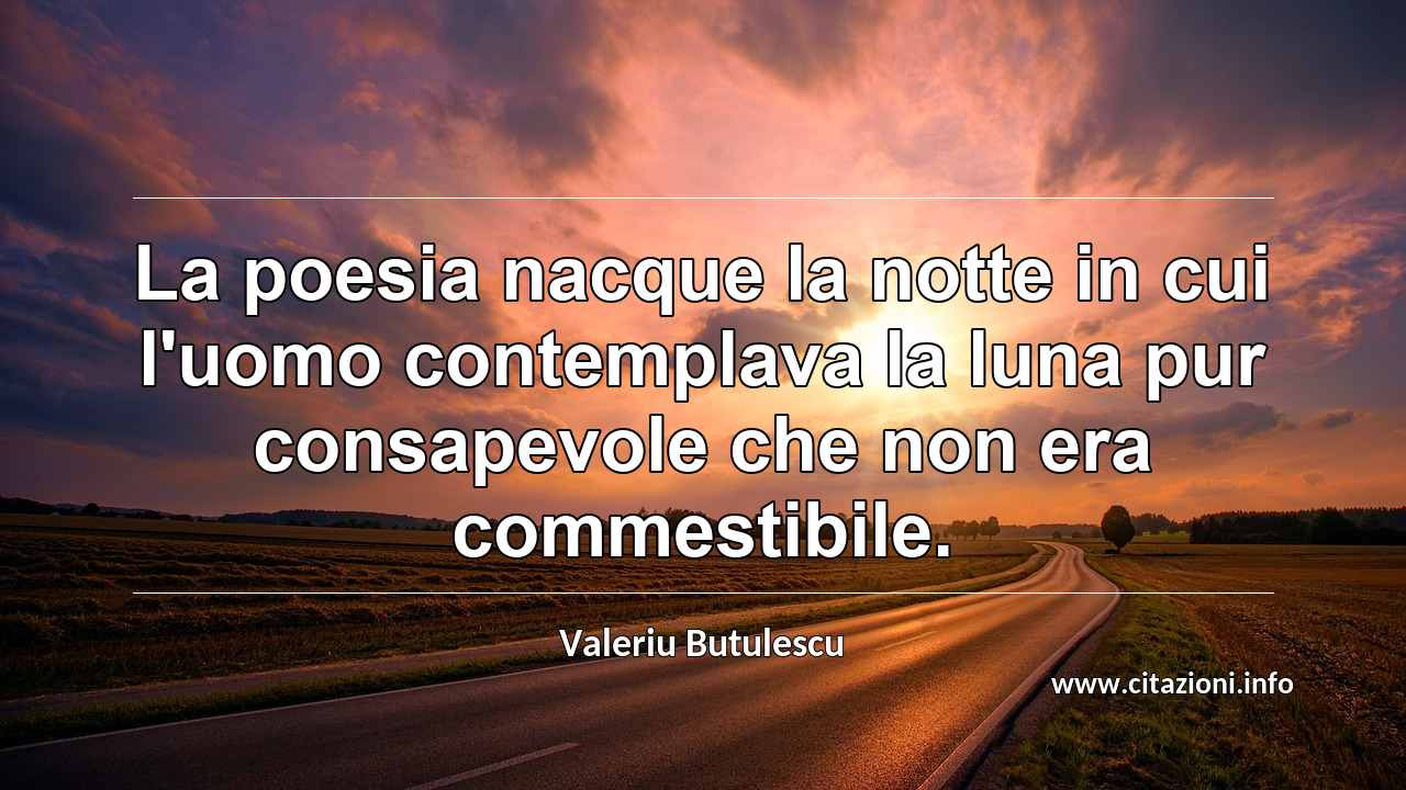 “La poesia nacque la notte in cui l'uomo contemplava la luna pur consapevole che non era commestibile.”