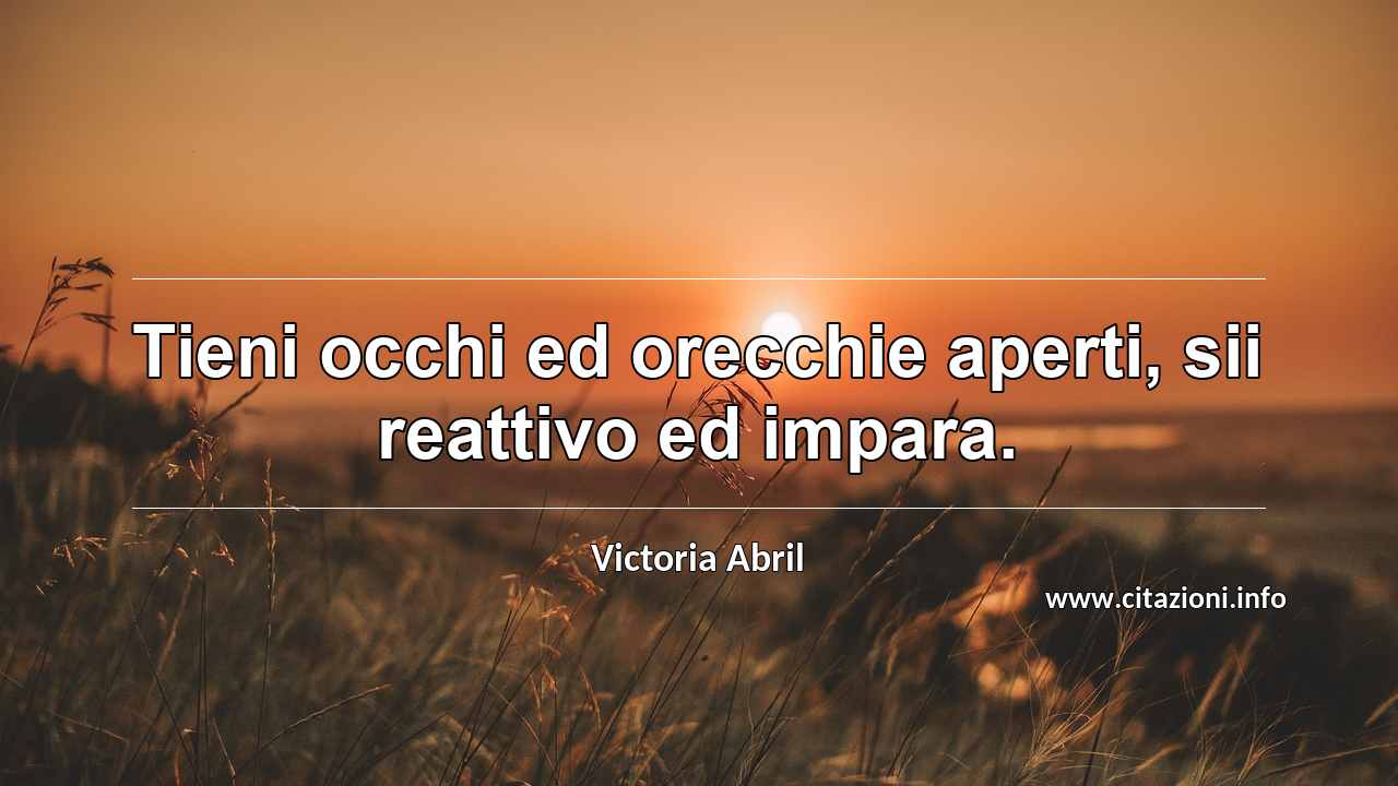 “Tieni occhi ed orecchie aperti, sii reattivo ed impara.”