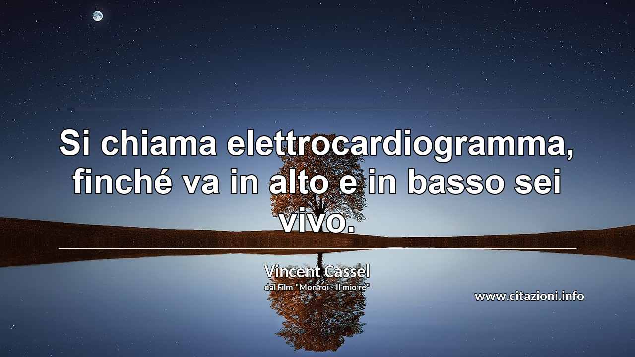“Si chiama elettrocardiogramma, finché va in alto e in basso sei vivo.”