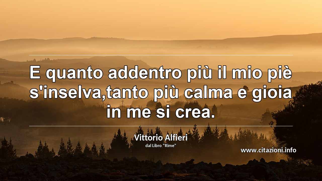 “E quanto addentro più il mio piè s'inselva,tanto più calma e gioia in me si crea.”