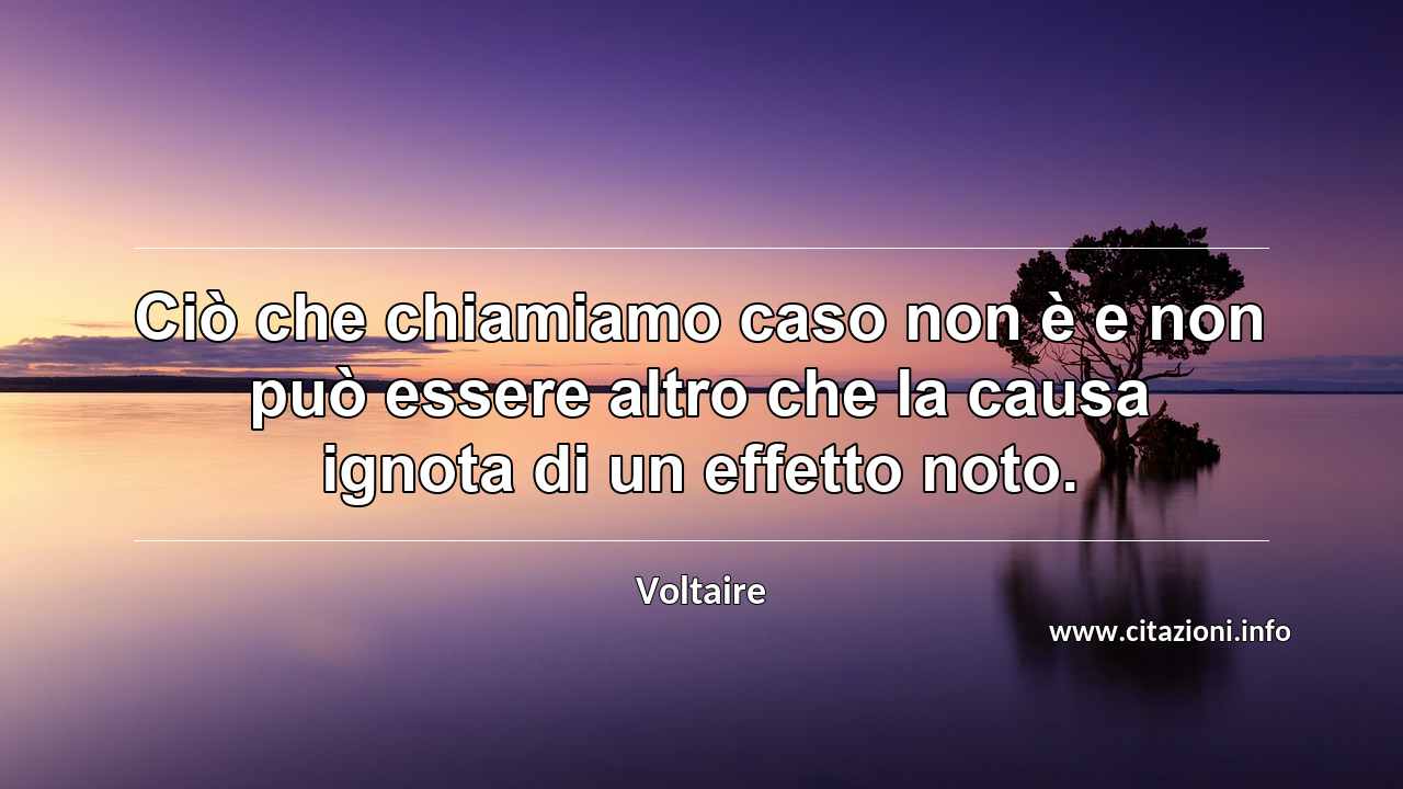 “Ciò che chiamiamo caso non è e non può essere altro che la causa ignota di un effetto noto.”