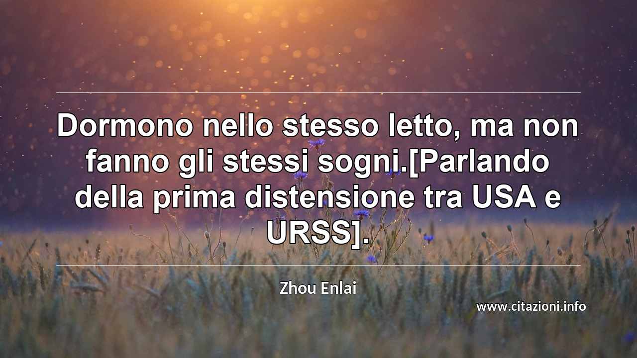 “Dormono nello stesso letto, ma non fanno gli stessi sogni.[Parlando della prima distensione tra USA e URSS].”
