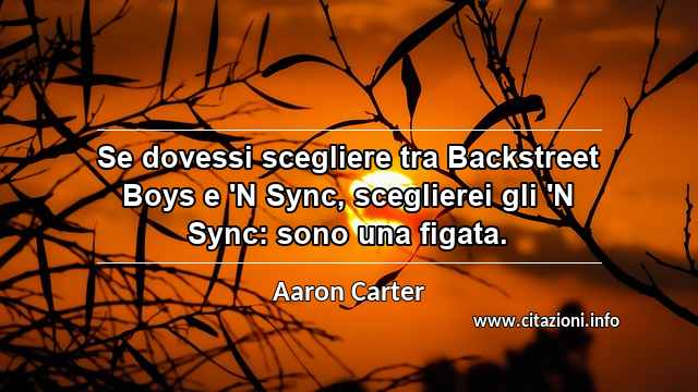 “Se dovessi scegliere tra Backstreet Boys e 'N Sync, sceglierei gli 'N Sync: sono una figata.”
