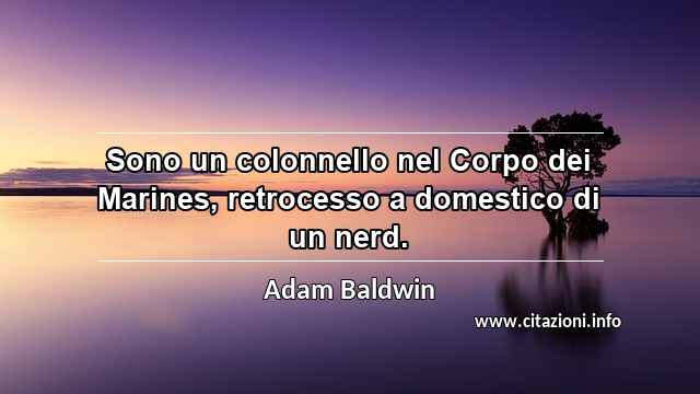 “Sono un colonnello nel Corpo dei Marines, retrocesso a domestico di un nerd.”