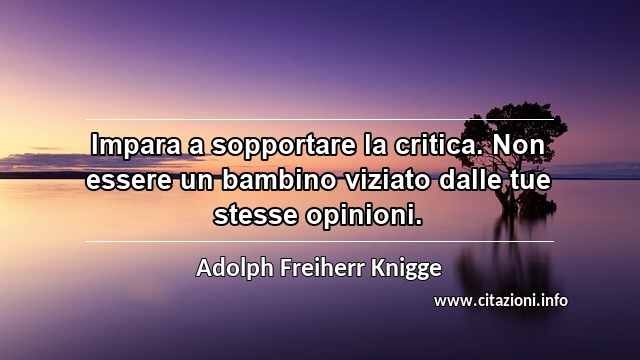 “Impara a sopportare la critica. Non essere un bambino viziato dalle tue stesse opinioni.”