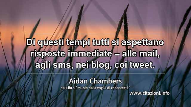 “Di questi tempi tutti si aspettano risposte immediate – alle mail, agli sms, nei blog, coi tweet.”