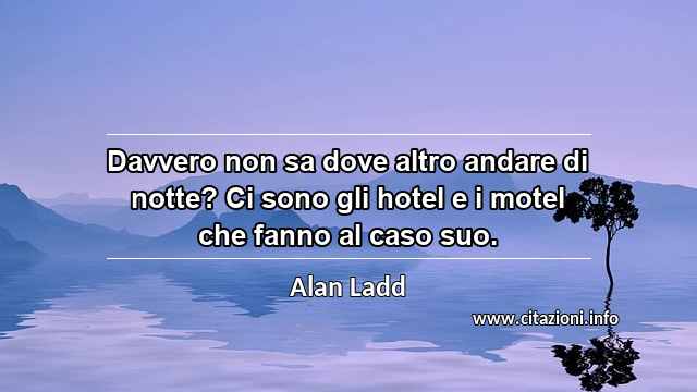 “Davvero non sa dove altro andare di notte? Ci sono gli hotel e i motel che fanno al caso suo.”