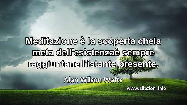 “Meditazione è la scoperta chela meta dell'esistenzaè sempre raggiuntanell'istante presente.”