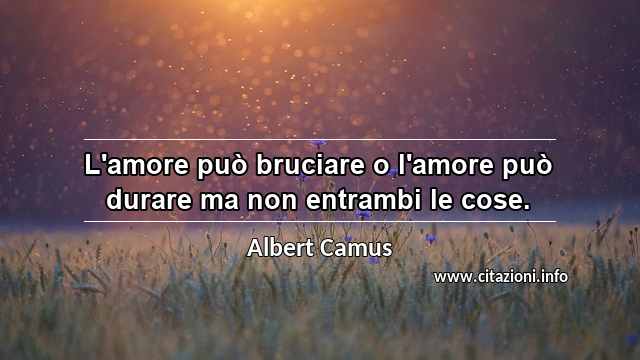 “L'amore può bruciare o l'amore può durare ma non entrambi le cose.”