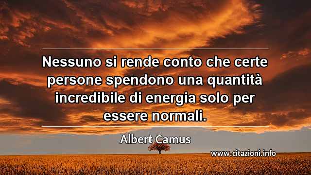 “Nessuno si rende conto che certe persone spendono una quantità incredibile di energia solo per essere normali.”
