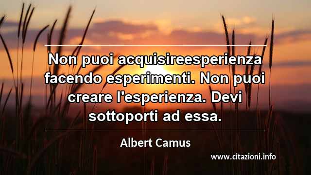 “Non puoi acquisireesperienza facendo esperimenti. Non puoi creare l'esperienza. Devi sottoporti ad essa.”