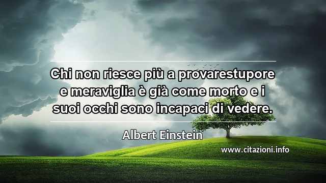 “Chi non riesce più a provarestupore e meraviglia è già come morto e i suoi occhi sono incapaci di vedere.”