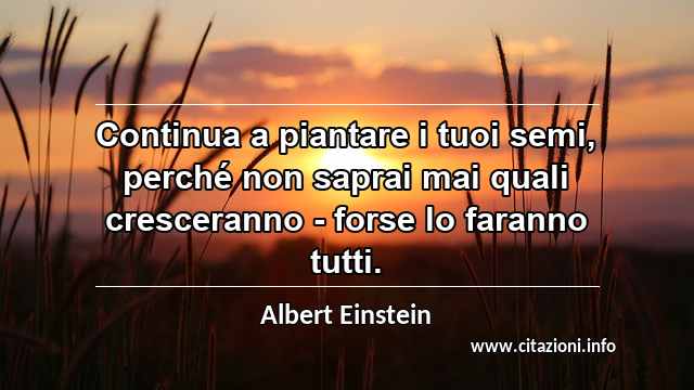 “Continua a piantare i tuoi semi, perché non saprai mai quali cresceranno - forse lo faranno tutti.”