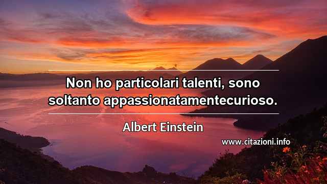 “Non ho particolari talenti, sono soltanto appassionatamentecurioso.”
