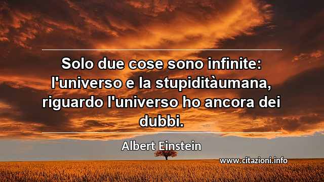 “Solo due cose sono infinite: l'universo e la stupiditàumana, riguardo l'universo ho ancora dei dubbi.”