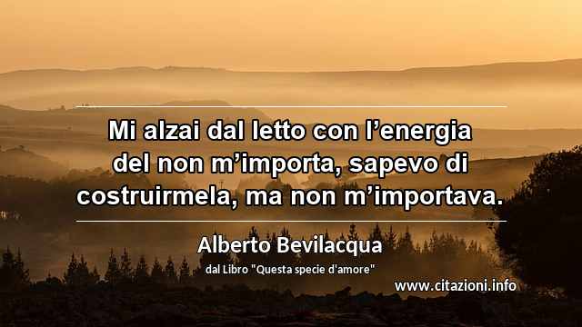 “Mi alzai dal letto con l’energia del non m’importa, sapevo di costruirmela, ma non m’importava.”