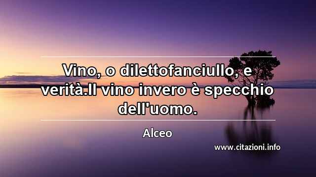 “Vino, o dilettofanciullo, e verità.Il vino invero è specchio dell'uomo.”