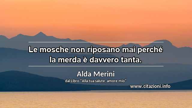 “Le mosche non riposano mai perché la merda è davvero tanta.”