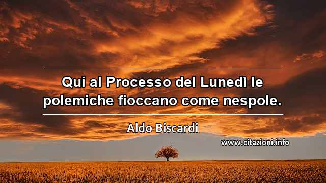 “Qui al Processo del Lunedì le polemiche fioccano come nespole.”