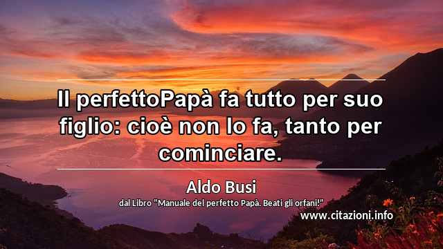 “Il perfettoPapà fa tutto per suo figlio: cioè non lo fa, tanto per cominciare.”