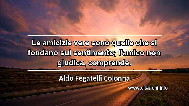 “Le amicizie vere sono quelle che si fondano sul sentimento; l'amico non giudica, comprende.”