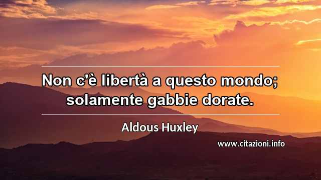 “Non c'è libertà a questo mondo; solamente gabbie dorate.”