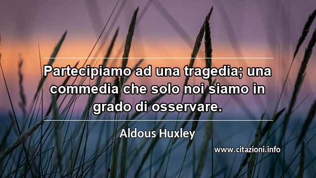 “Partecipiamo ad una tragedia; una commedia che solo noi siamo in grado di osservare.”