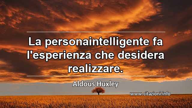 “La personaintelligente fa l'esperienza che desidera realizzare.”