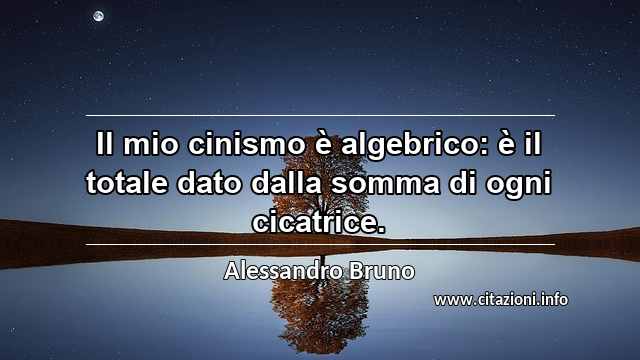 “Il mio cinismo è algebrico: è il totale dato dalla somma di ogni cicatrice.”