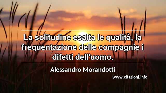 “La solitudine esalta le qualità, la frequentazione delle compagnie i difetti dell'uomo.”