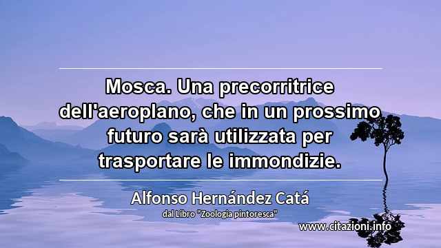 “Mosca. Una precorritrice dell'aeroplano, che in un prossimo futuro sarà utilizzata per trasportare le immondizie.”