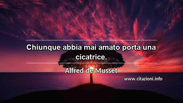 “Chiunque abbia mai amato porta una cicatrice.”